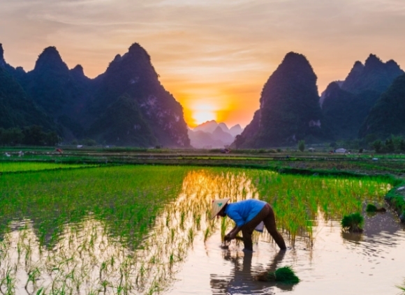 Việt Nam mở cửa trở lại du lịch quốc tế